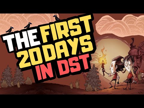 Don't Starve Together Guide: BEGINNER GUIDE: WHAT TO DO IN YOUR FIRST 20 DAYS