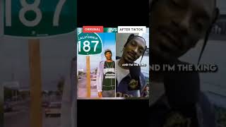 Download lagu WHO ARE YOU... MY NAME IS BIG SNOOP DOGG... mp3