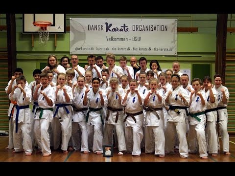 Danish So Kyokushin Winter Camp 2015 (Photo)