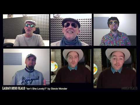 Andrea Figallo, Erik Bosio, Antonio Galbiati "Isn't She Lovely?" by Stevie Wonder