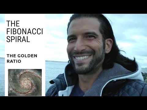 The Fibonacci Spiral ( 5th dimension  ) Fibonacci Sequence / Golden Ratio