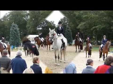 Bundeschampionat des Deutschen Freizeitpferdes - Verdiana 2013❤
