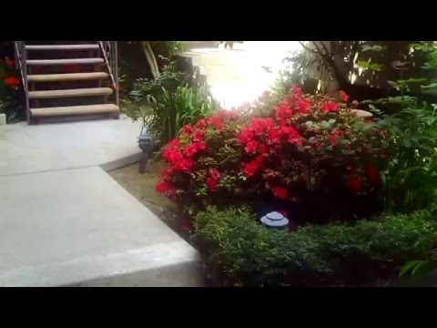 2 Bed 2 Bath Apartment For Rent In West LA - Federal Ave & Rochester Ave -  562Rent.com