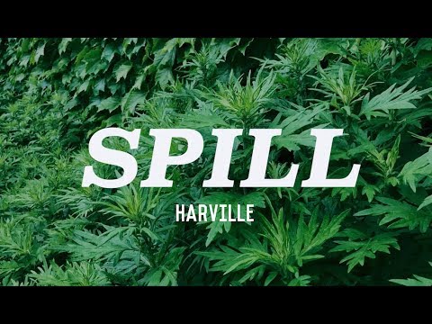 Harville - Spill (Lyric Video)