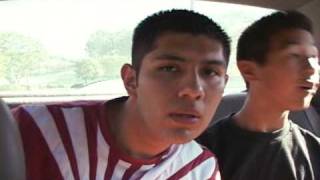 Rootbeer - Pink Limousine