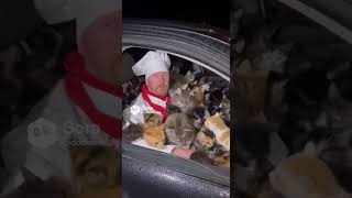 CAR　 #sora2 #aivideo #shorts