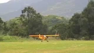 preview picture of video 'RC Piper J-3 Cub Kyosho SQS 50GP'
