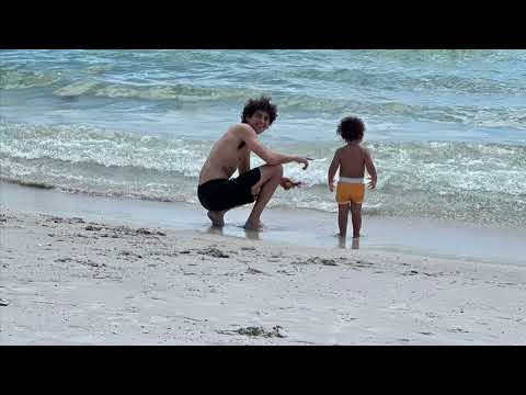 Dominic Fike - epilogue extended (v5)