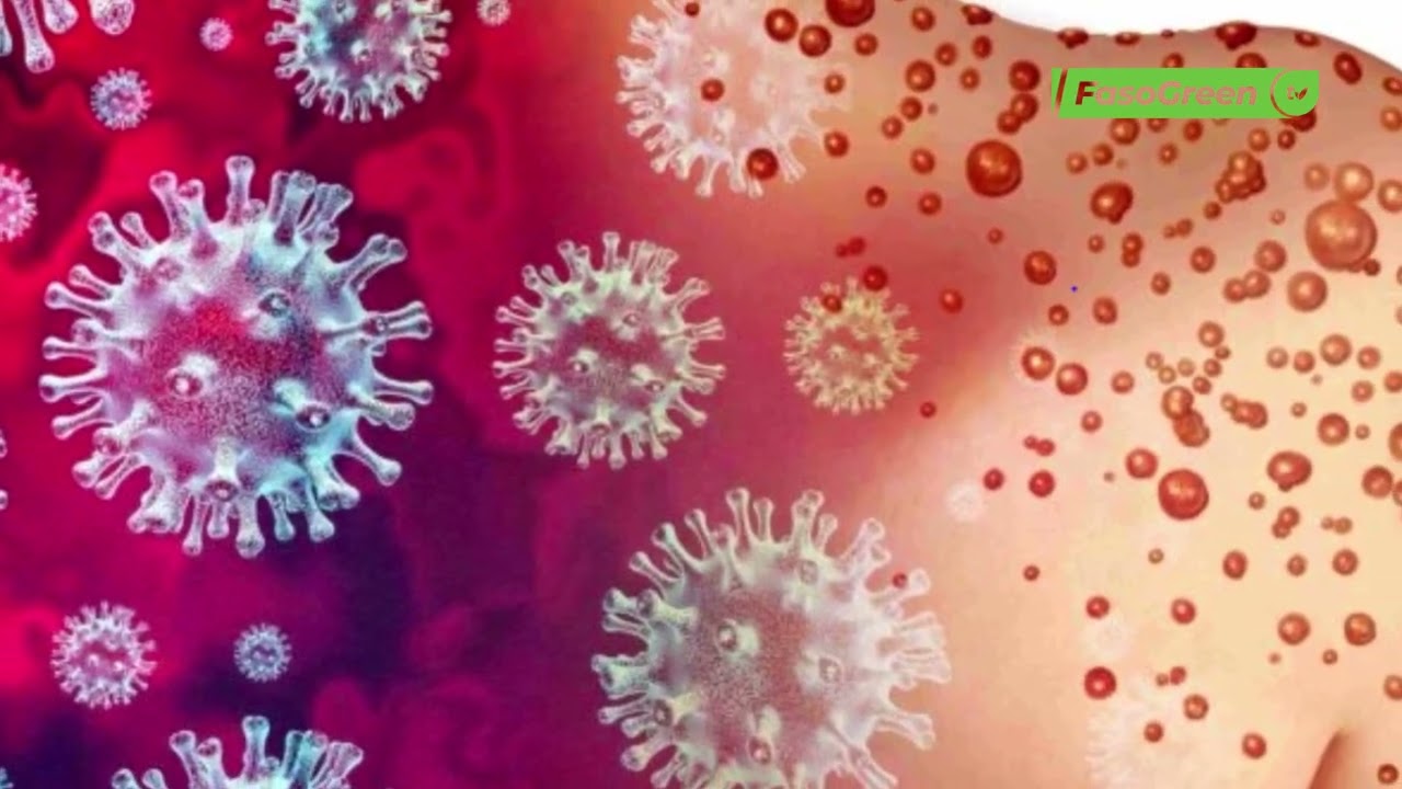 Journée mondiale de la santé : La santé pour tous au cœur de l’édition 2026