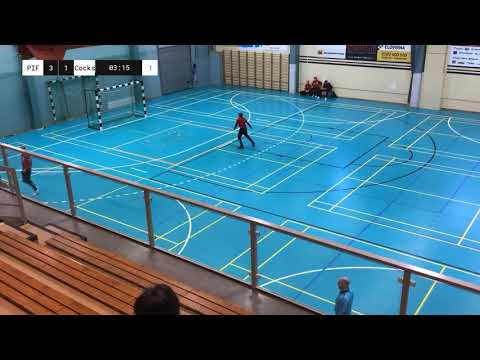 P05: PIF - Cocks 06 19.1.2020 (red)