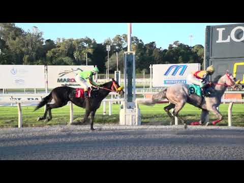 230428 c03 THANK YOU FATHER