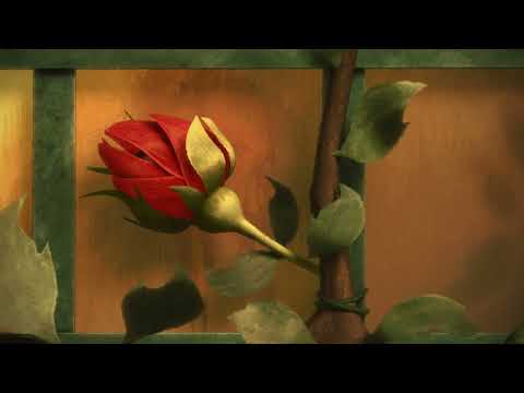 Pachyderme - Excerpt - #oscars2024