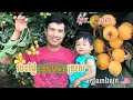 PICK & EAT FRESH SWEET LOQUAT OFF THE TREE & MOTOR TREND FLOOR MAT ផ្លែមាក់ប្រេងមាក់ប្រាងអាមេរិច