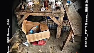 Download lagu DemonCrazy - Slank ✌ mp3 Download lagu DemonCrazy - Slank ✌ mp3