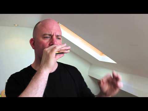 (LESSON 2) Sonny Terry Basic Rhythm - Country Blues Harmonica