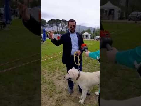 Gerald Lleshaj gjatë prezantimit të Molosit ( Ilyria Cup 2021 )