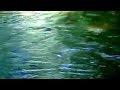 Rio Babel - Gustavo Cerati