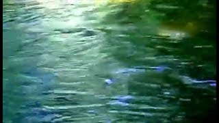 Rio Babel - Gustavo Cerati