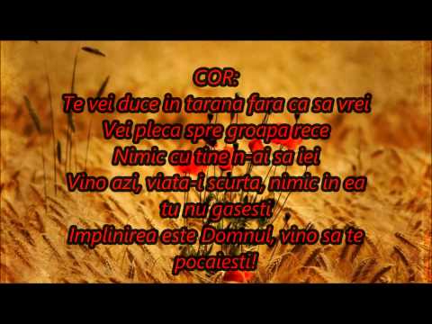 Te vei duce in tarana- Negative Crestine + Versuri (Eden Spania)