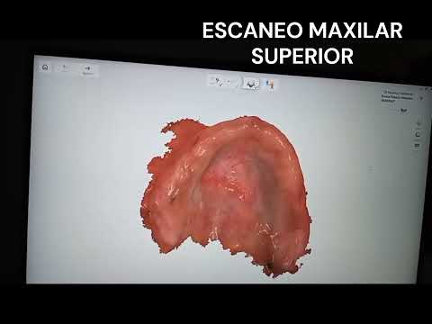Mauricio Orlando Gutierrez Toro-62