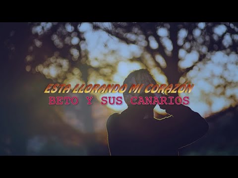 BETO Y SUS CANARIOS - ESTA LLORANDO MI CORAZON (Video Lyrics/Letra)