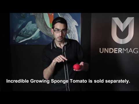 Sponge Tomatoes / SEO MAGIC