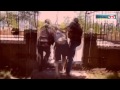 АТО,Песня украинских солдат, состоящих в antiteroristic, работы 