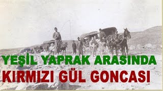 Yeşil Yaprak Arasında Kırmızı Gül Goncası - Nihat Kazazoğlu