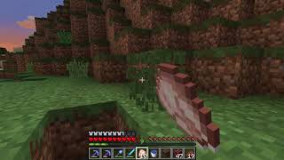 How to get Wheat Seeds - Minecraft