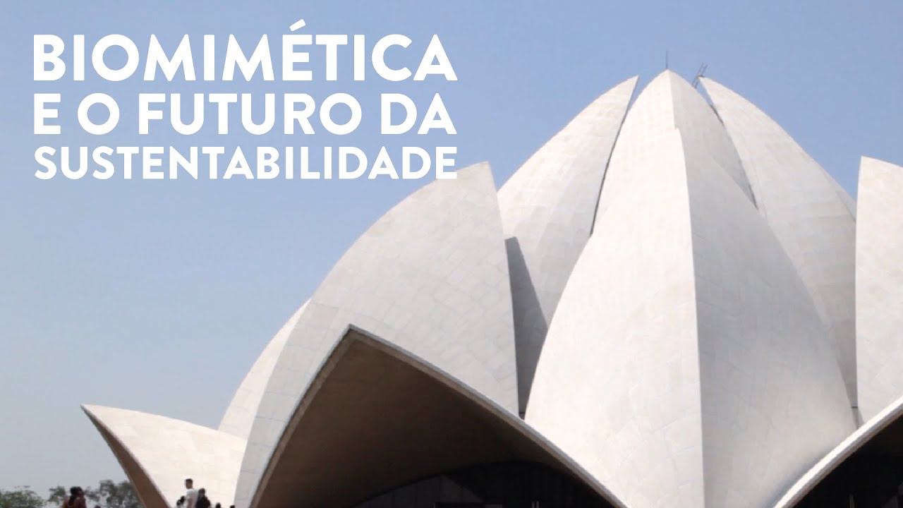 Biomimética e o Futuro da Arquitetura Sustentável