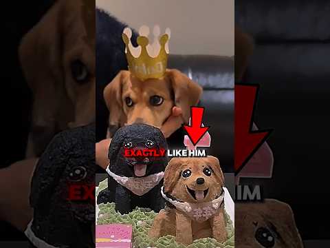 He got a birthday surprise but stop eating the cake for his friend ❤️