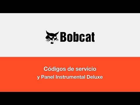 Códigos de Servicios y Panel Instrumental Deluxe