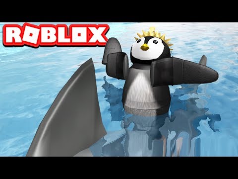 Roblox Penguin Simulator Su Uno Shark Billon - pinguino roblox
