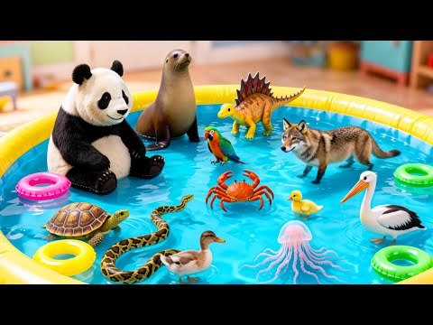 ANIMALS for Kids in Spanish 🐯🐮🐳 Bilingual Spanish Vocab for Kids 🐒 Compilation