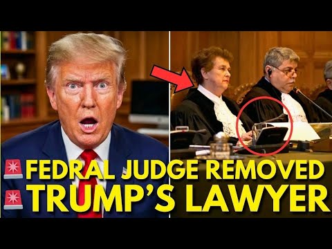 BREAKING: Trump’s Lawyers EJECTED From Court After Explosive Federal Meltdown
