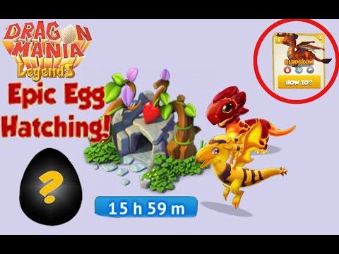 Breeding Dragons Together?!- Honey_Dragon + Lava_Dragon | Dragon Mania Legends - Part 1084 HD