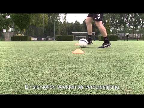 PVC Trainingsplan F pupillen - demo