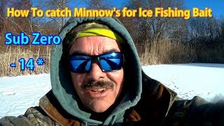 How to catch (trap) Minnows (shiners)  as Bait Fish for Ice fishing!