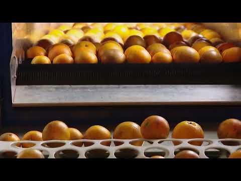 EFFORTS nEEDED tO pROMOTE cIRCULAR aGRICULTURE iN vIETNAM – Mega Story