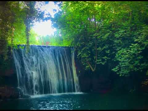 Nature in syria by Abdulhamid.. ♾️