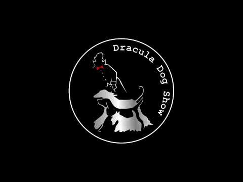 download lagu mp3 mp4 Dracula Dog Show 2017, download lagu Dracula Dog Show 2017 gratis, unduh video klip Dracula Dog Show 2017