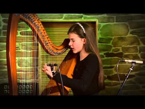 Gort na Saileán (Down by the Sally Gardens)