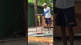 Meet Mr. Olympia of Parrots on Star Princess | Prince Cruise Line | Star Princess Review 2026