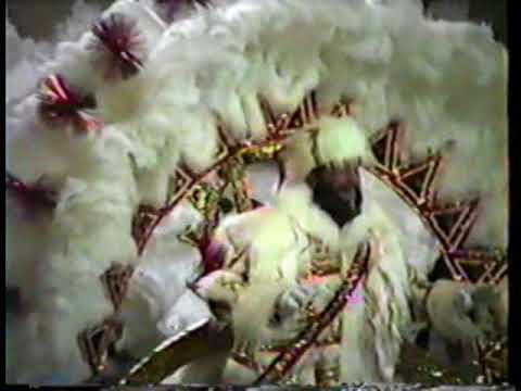 Ferko String Band - 1991 Show Of Shows Pit Area