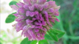 Its alright, brandon Heath lyrics