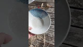 LIFESTYLE talíř mělký 26 cm, Rainforest, G. Benedikt 1882