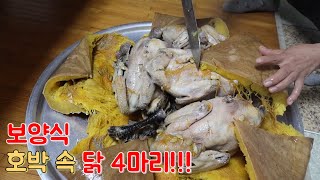 보양식 호박 속 닭 4마리!!