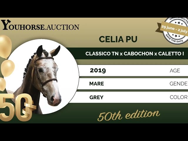 Celia Pu showvideo