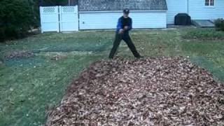 EASY WAY TO REMOVE LEAVES