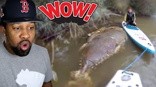 If You See This While Swimming, Get Out of the Water Right Away #2